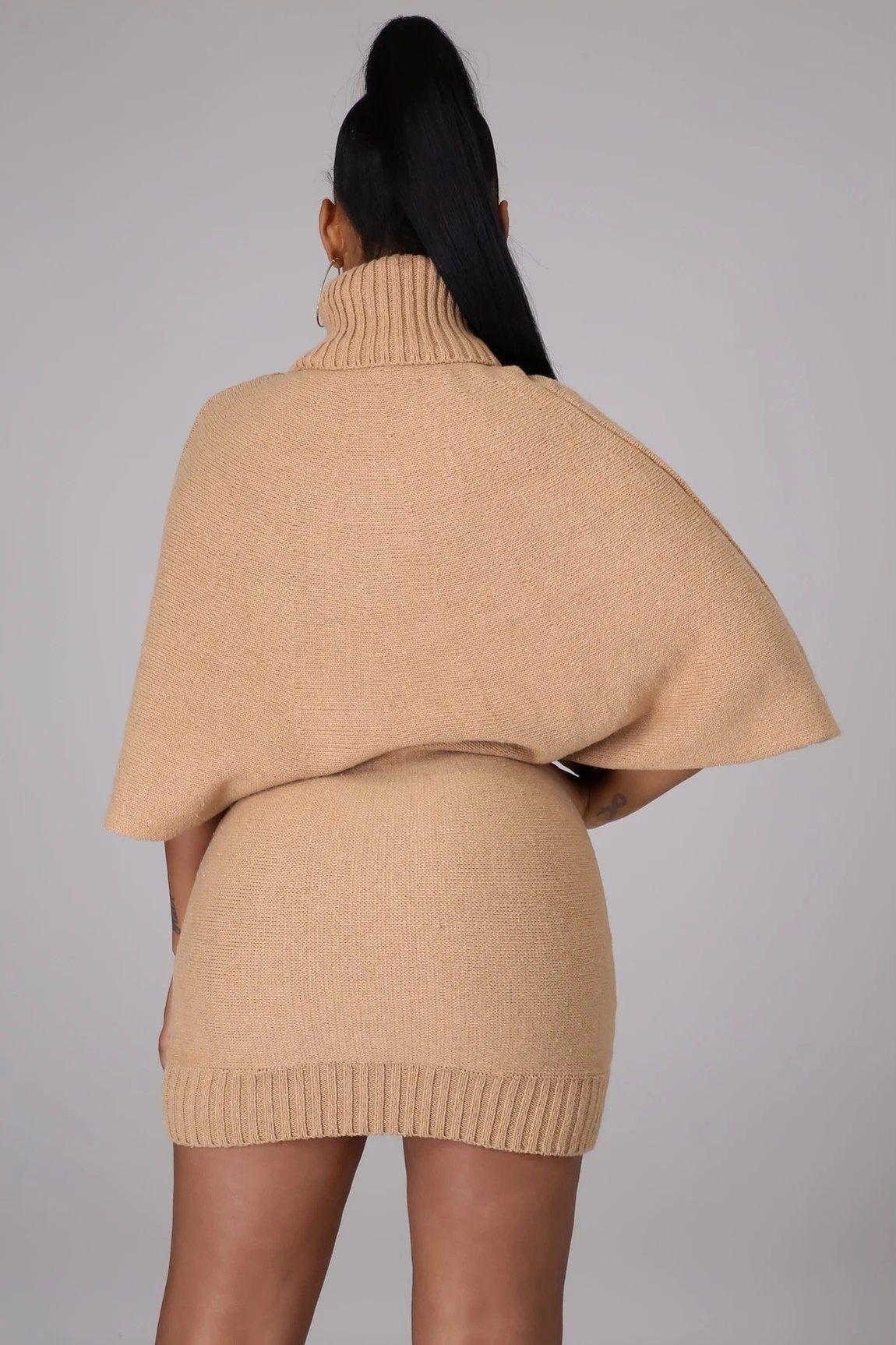 Turtle Neck Mini Sweater Dress