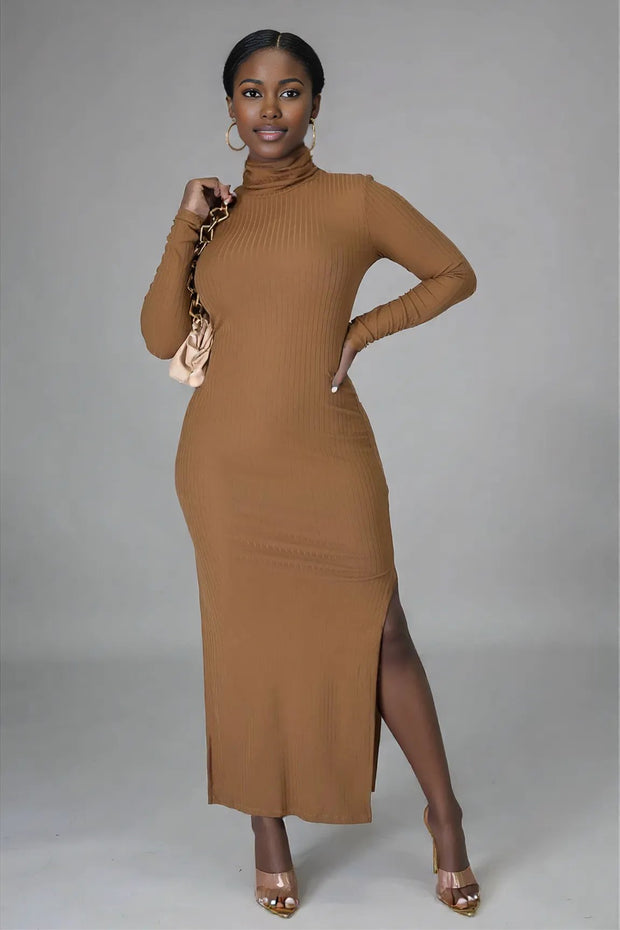 Turtle Neck Side Split Maxi